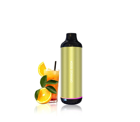 Nicotine Mesh Coil 10ml E Cigarette Disposable Vape Pen Individual System Custom