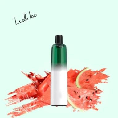 5000 Puffs Disposable Electronic Vape Pen Fruit Flavors 400mAh Rechargeable