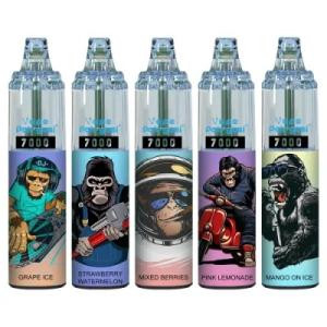 Fruit Flavors Smoking Nicotine Salt Vape 14ml E Liquid Mesh Coil Disposable Vape