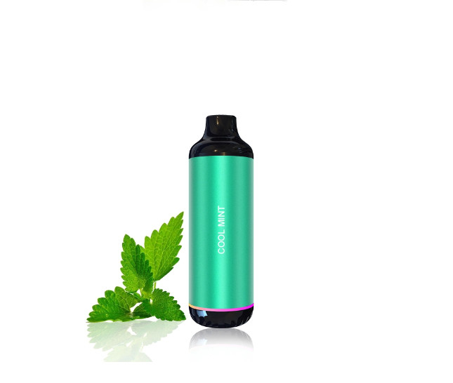 Flavored Vapor Disposable Vape Pen Visible E Liquid 3000 Puffs Customized