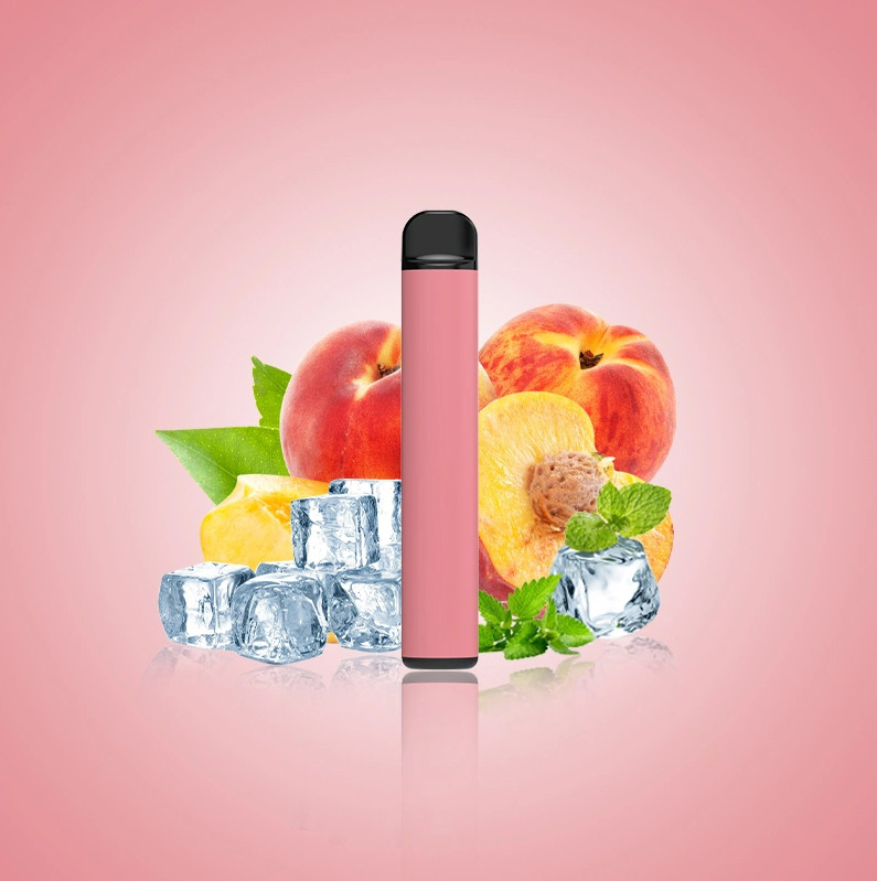 500 Puffs Disposable 2% 5% Nicotine Salt Vape Device 350mAh Battery
