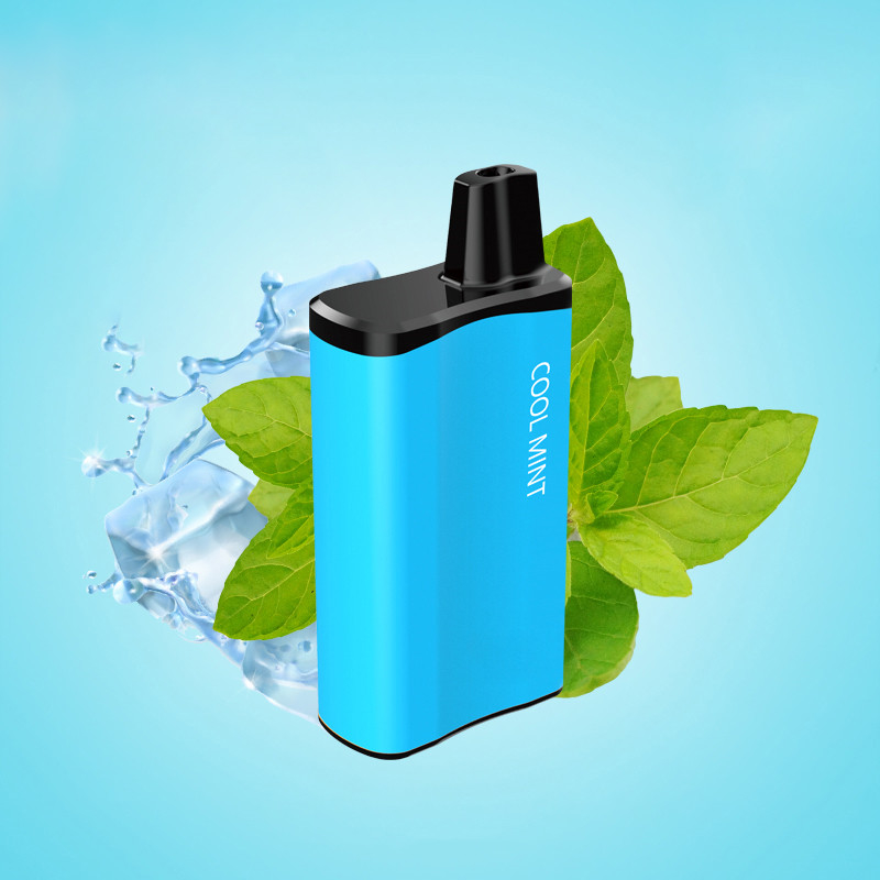 OEM Disposable Prefilled Pod Vape Rechargeable Empty 300 Puffs E Cigarette