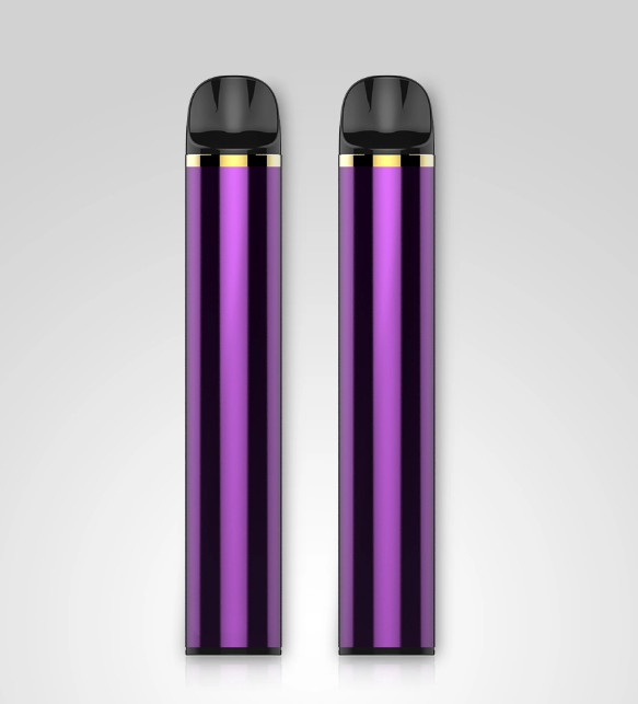 Salt Nicotine Fruit Flavor E Cigarette 900mAh 3000 Puffs E Juice Vape Pen