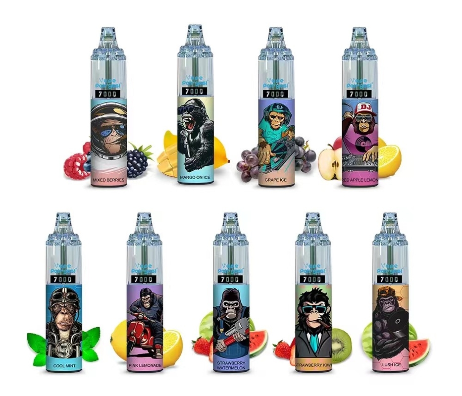 6000 Puffs 2% Salt Nicotine Disposable Vape Pen Mesh Coil 600mah Battery